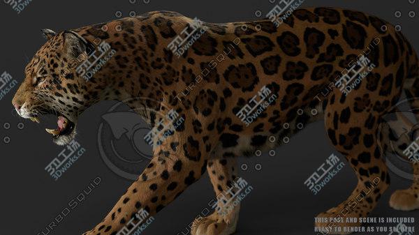 images/goods_img/20210312/3D Jaguar FUR RIGGED/4.jpg
